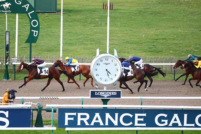 Photo d'arrivée de la course pmu PRIX DU CHENE DE LA BASSE POMMERAIE à CHANTILLY le Dimanche 30 octobre 2022