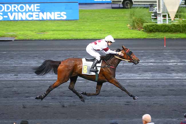 Photo d'arrivée de la course pmu PRIX XAVIER DE SAINT PALAIS à PARIS-VINCENNES le Jeudi 3 novembre 2022