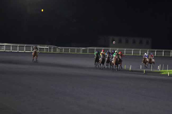 Photo d'arrivée de la course pmu PRIX LOUIS TILLAYE à PARIS-VINCENNES le Vendredi 4 novembre 2022