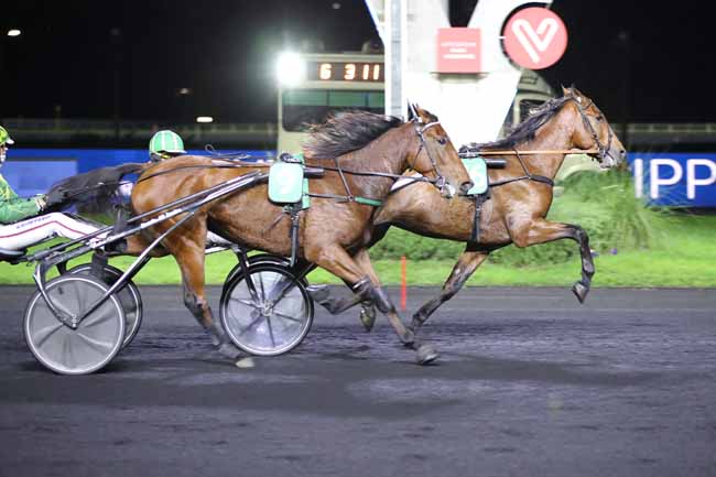 Photo d'arrivée de la course pmu PRIX POSIDONIUS à PARIS-VINCENNES le Vendredi 4 novembre 2022