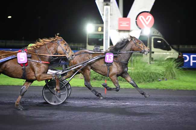 Photo d'arrivée de la course pmu PRIX UNA à PARIS-VINCENNES le Vendredi 4 novembre 2022