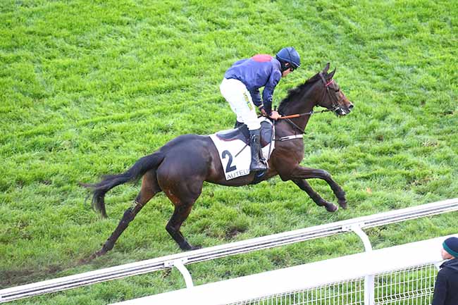 Photo d'arrivée de la course pmu PRIX PRE CATELAN à AUTEUIL le Vendredi 4 novembre 2022