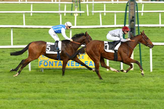 Photo d'arrivée de la course pmu PRIX DES PINS NOIRS à FONTAINEBLEAU le Mardi 8 novembre 2022