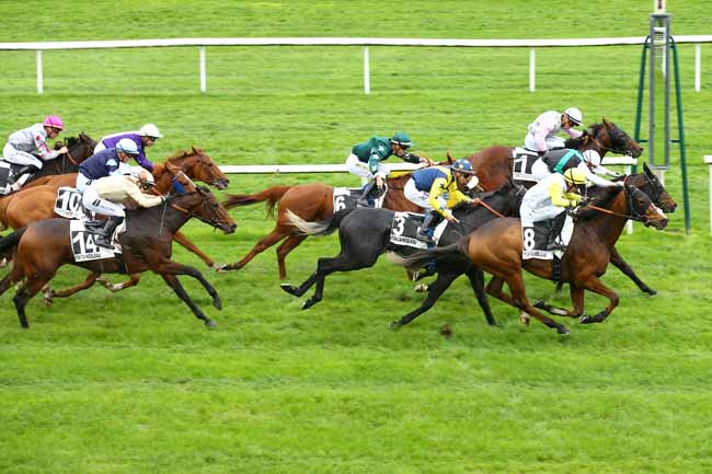 Photo d'arrivée de la course pmu PRIX DE LA SEINE-ET-MARNE à FONTAINEBLEAU le Mardi 8 novembre 2022