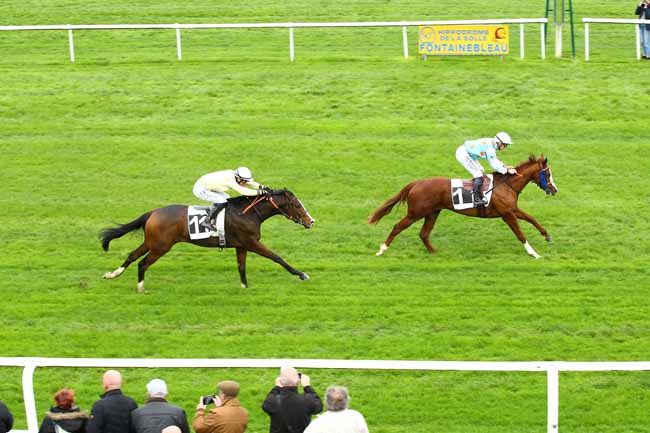 Photo d'arrivée de la course pmu PRIX DE LA LANDE DE BRUYERE à FONTAINEBLEAU le Mardi 8 novembre 2022