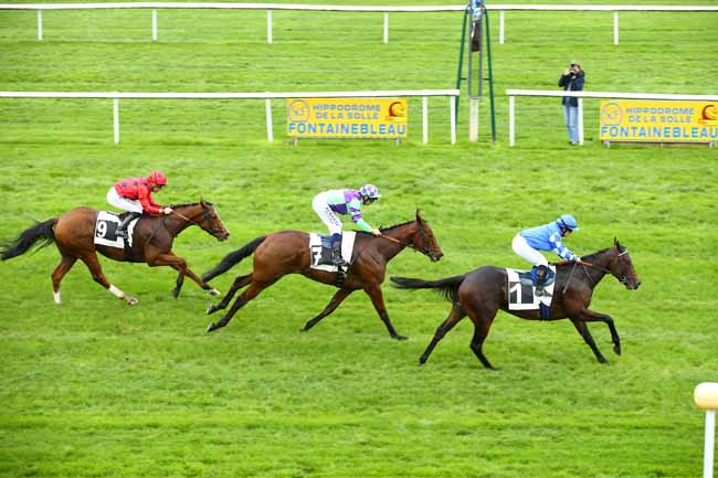 Photo d'arrivée de la course pmu PRIX DES CHATAIGNIERS à FONTAINEBLEAU le Mardi 8 novembre 2022