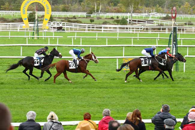 Photo d'arrivée de la course pmu PRIX DES SYCOMORES à FONTAINEBLEAU le Mardi 8 novembre 2022