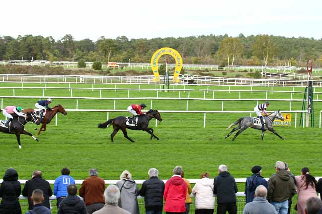 Photo d'arrivée de la course pmu PRIX DES MYOSOTIS à FONTAINEBLEAU le Mardi 8 novembre 2022