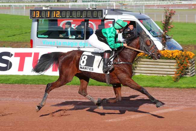 Photo d'arrivée de la course pmu PRIX OUEST HABITAT COUVERTURE à NANTES le Mercredi 9 novembre 2022