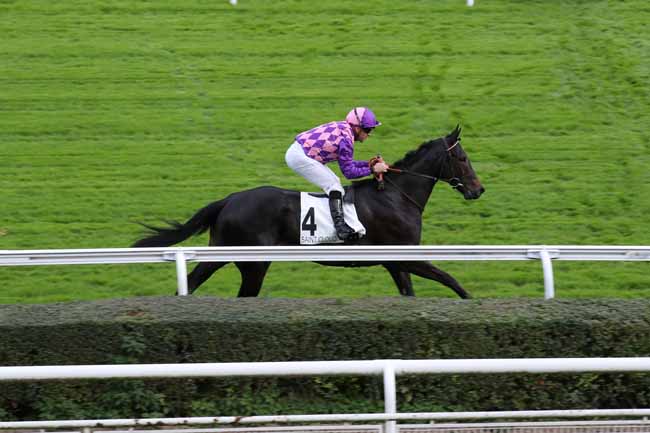Photo d'arrivée de la course pmu PRIX DES TROIS ROSES D'ARGENT à SAINT CLOUD le Mercredi 9 novembre 2022