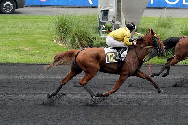 Photo d'arrivée de la course pmu PRIX D'AVESNES à PARIS-VINCENNES le Jeudi 10 novembre 2022