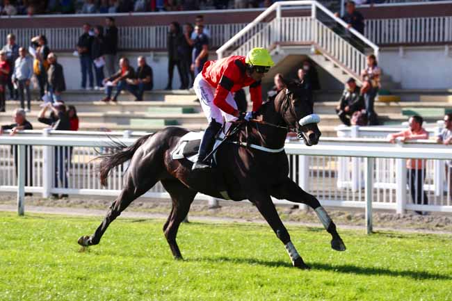 Photo d'arrivée de la course pmu PRIX DE BONNEFOY à TOULOUSE le Vendredi 11 novembre 2022