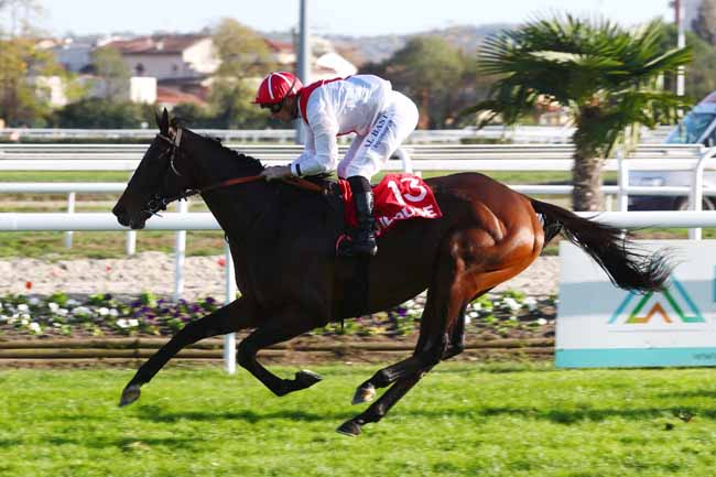 Photo d'arrivée de la course pmu PRIX DE LA VILLE DE TOULOUSE à TOULOUSE le Vendredi 11 novembre 2022