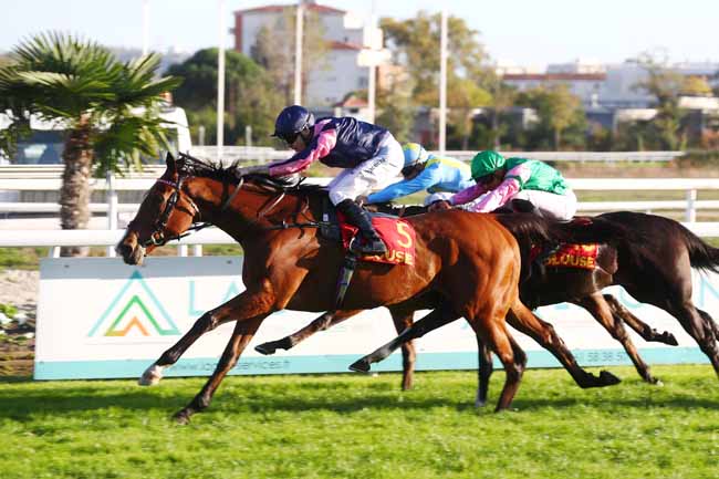 Photo d'arrivée de la course pmu PRIX FILLE DE L'AIR à TOULOUSE le Vendredi 11 novembre 2022