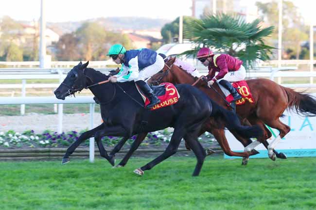 Photo d'arrivée de la course pmu PRIX DE LA REPUBLIQUE DU SENEGAL à TOULOUSE le Vendredi 11 novembre 2022