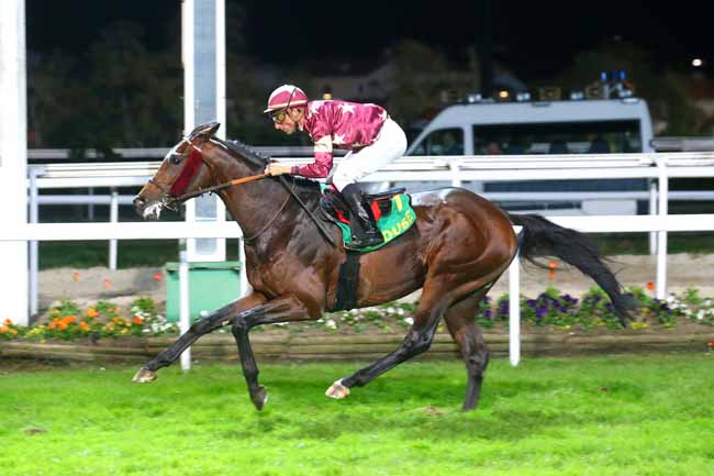 Photo d'arrivée de la course pmu GRAND NATIONAL DES ANGLO-ARABES A 37.5% à TOULOUSE le Vendredi 11 novembre 2022