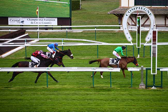 Photo d'arrivée de la course pmu PRIX DE LA HAGUE à COMPIEGNE le Vendredi 11 novembre 2022