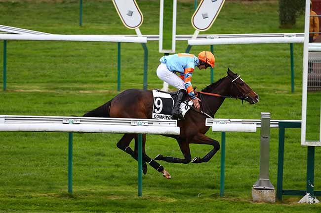 Photo d'arrivée de la course pmu PRIX ASTOUN BLOUNT à COMPIEGNE le Vendredi 11 novembre 2022