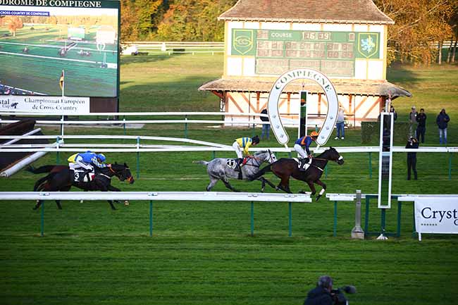 Photo d'arrivée de la course pmu GRAND STEEPLE-CHASE - CROSS-COUNTRY DE COMPIEGNE à COMPIEGNE le Vendredi 11 novembre 2022