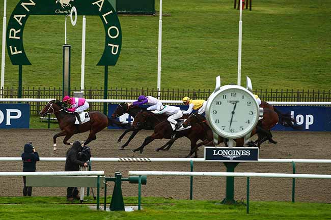Photo d'arrivée de la course pmu PRIX DE LA MOTTE LOUVET à CHANTILLY le Mardi 15 novembre 2022