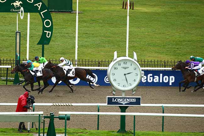 Photo d'arrivée de la course pmu PRIX DE LA CROIX MARQUET à CHANTILLY le Mardi 15 novembre 2022