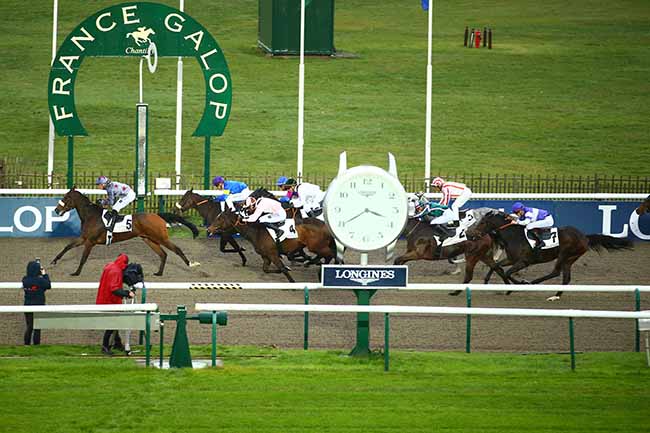 Photo d'arrivée de la course pmu PRIX DE LA SALLE DES GARDES à CHANTILLY le Mardi 15 novembre 2022