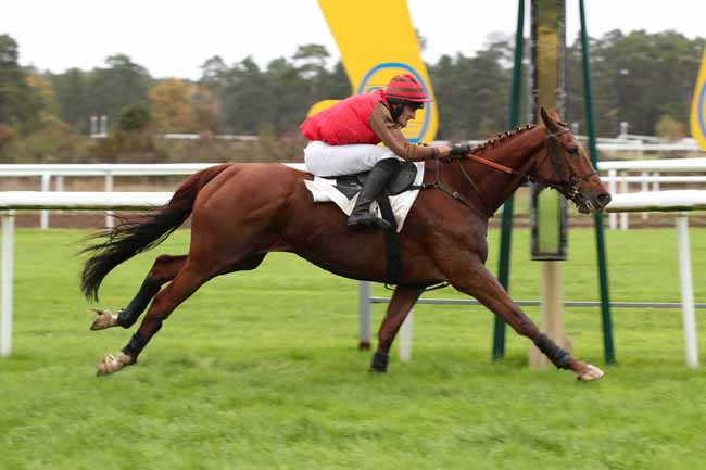 Photo d'arrivée de la course pmu PRIX COLONEL BERNARD MARLIN à FONTAINEBLEAU le Mardi 15 novembre 2022