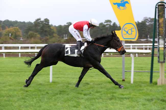 Photo d'arrivée de la course pmu PRIX GAUTIER DE LA SELLE à FONTAINEBLEAU le Mardi 15 novembre 2022
