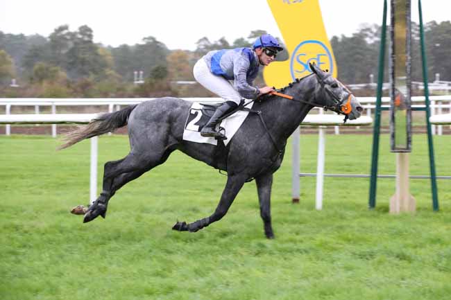 Photo d'arrivée de la course pmu PRIX DE LA ROUTE AMELIE à FONTAINEBLEAU le Mardi 15 novembre 2022