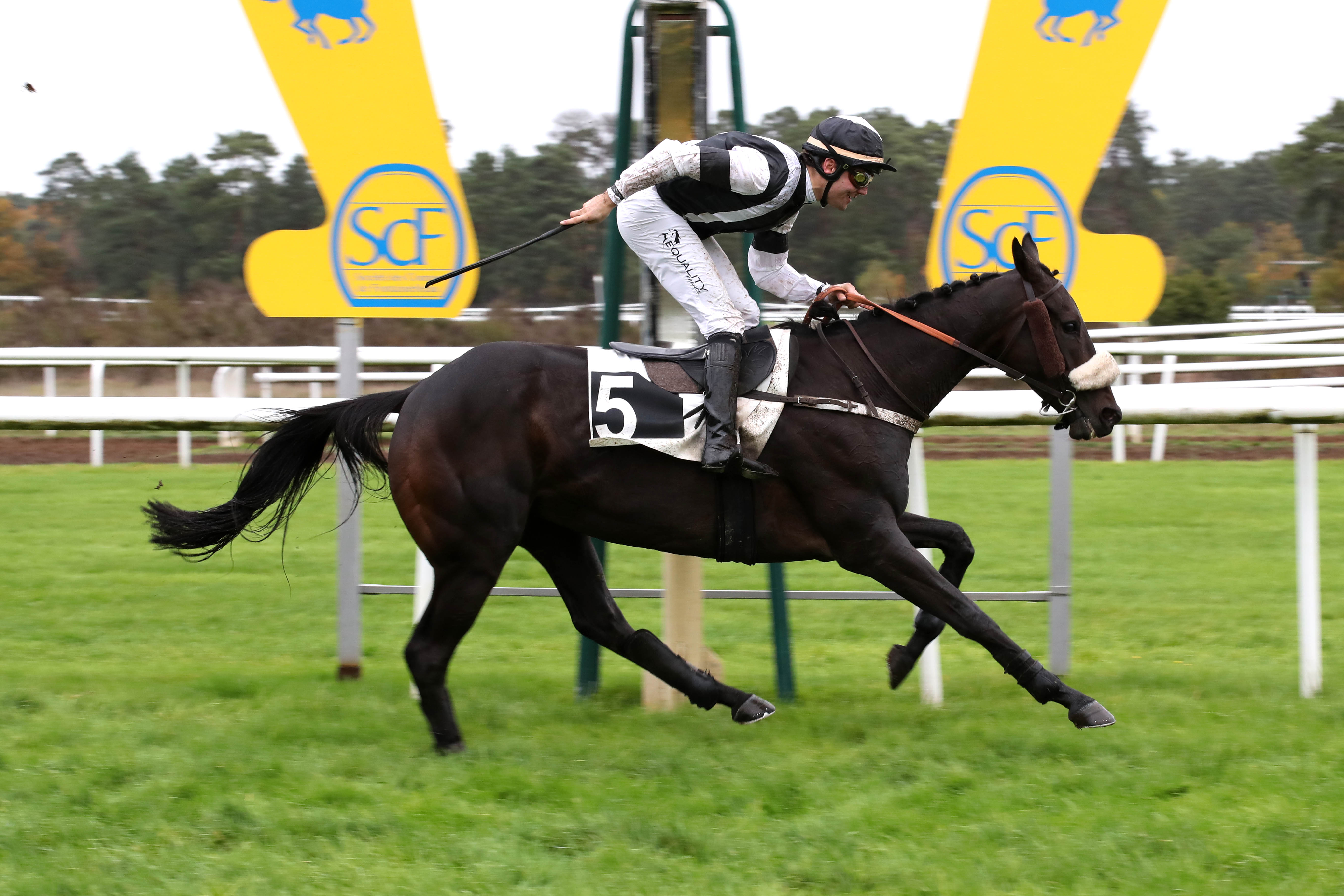 Photo d'arrivée de la course pmu PRIX DU THEATRE IMPERIAL DU CHATEAU DE FONTAINEBLEAU à FONTAINEBLEAU le Mardi 15 novembre 2022