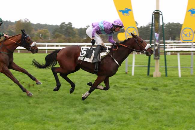 Photo d'arrivée de la course pmu PRIX DU CARREFOUR DU NID DE L'AIGLE à FONTAINEBLEAU le Mardi 15 novembre 2022