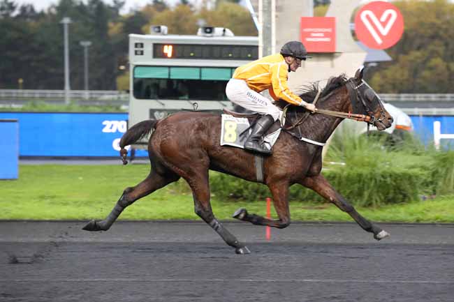 Photo d'arrivée de la course pmu PRIX DE SERIGNAN à PARIS-VINCENNES le Mardi 15 novembre 2022