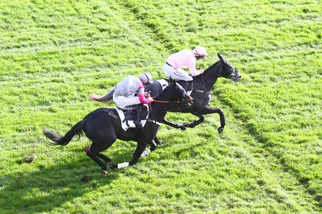 Photo d'arrivée de la course pmu PRIX DE BIARRITZ à AUTEUIL le Samedi 19 novembre 2022
