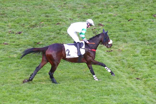 Photo d'arrivée de la course pmu PRIX SYTAJ à AUTEUIL le Samedi 19 novembre 2022