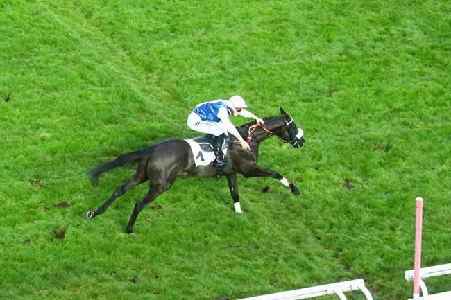 Photo d'arrivée de la course pmu PRIX TOURNAY à AUTEUIL le Samedi 19 novembre 2022