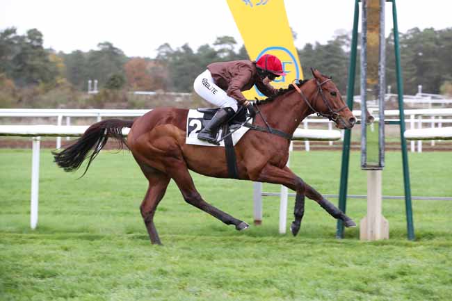 Photo d'arrivée de la course pmu PRIX PAIUTE à FONTAINEBLEAU le Lundi 21 novembre 2022