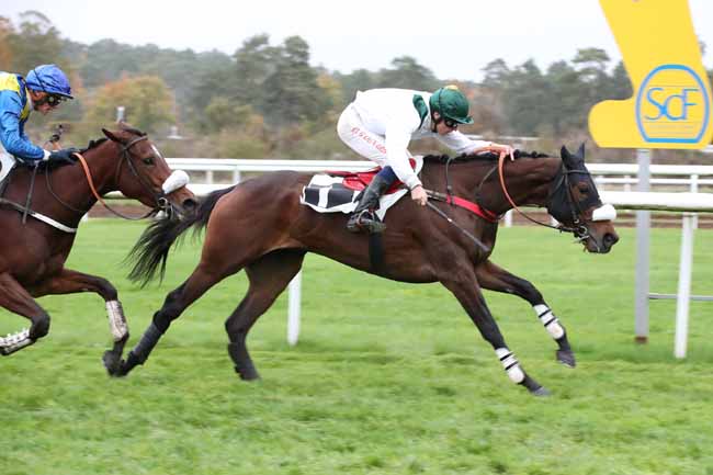 Photo d'arrivée de la course pmu PRIX DE MACHERIN à FONTAINEBLEAU le Lundi 21 novembre 2022