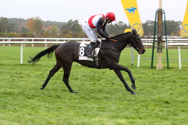 Photo d'arrivée de la course pmu PRIX DE LA GROTTE DES ERMITES à FONTAINEBLEAU le Lundi 21 novembre 2022