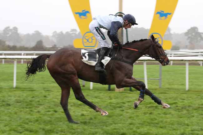Photo d'arrivée de la course pmu GRAND STEEPLE-CHASE DE LA SOLLE - PRIX COMPAGNIE LES ARLEQUINS à FONTAINEBLEAU le Lundi 21 novembre 2022