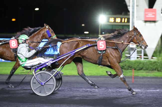 Photo d'arrivée de la course pmu PRIX DE CARENTAN à PARIS-VINCENNES le Mardi 22 novembre 2022