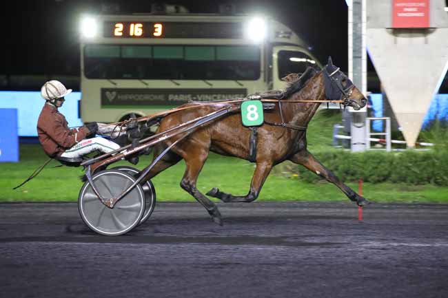 Photo d'arrivée de la course pmu PRIX TERCIDINA à PARIS-VINCENNES le Mardi 22 novembre 2022