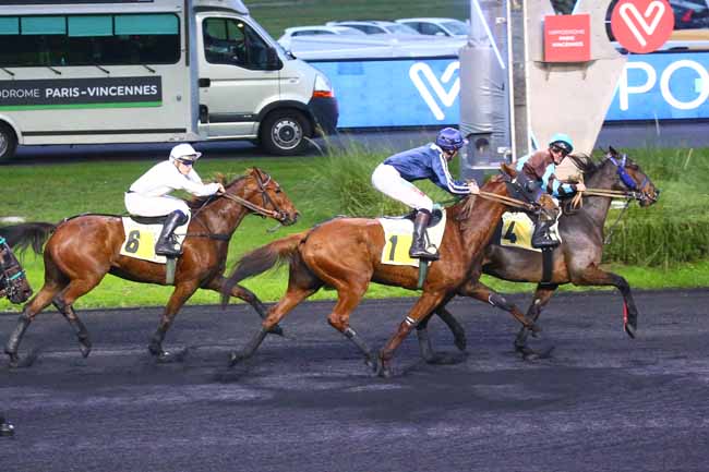 Photo d'arrivée de la course pmu PRIX DE L'ILE DE RE à PARIS-VINCENNES le Jeudi 24 novembre 2022