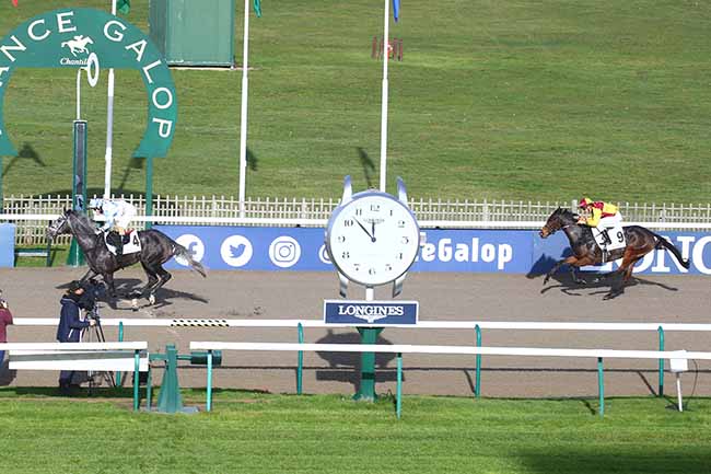 Photo d'arrivée de la course pmu PRIX DE LA BOUCLE D'EN HAUT à CHANTILLY le Jeudi 24 novembre 2022