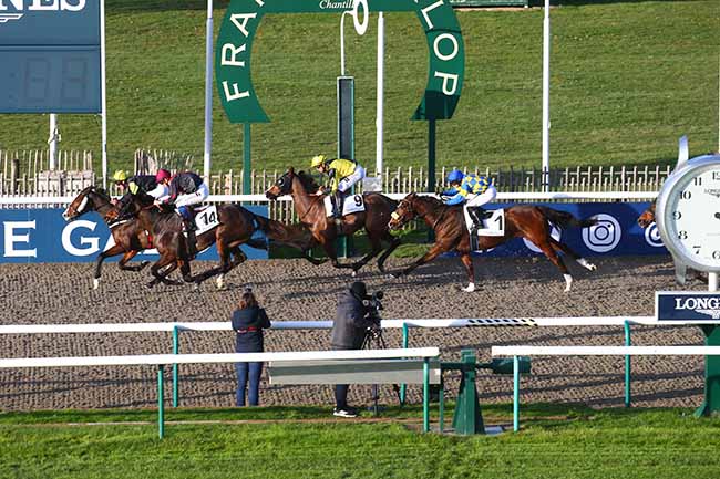 Photo d'arrivée de la course pmu PRIX DES BUTTES à CHANTILLY le Jeudi 24 novembre 2022