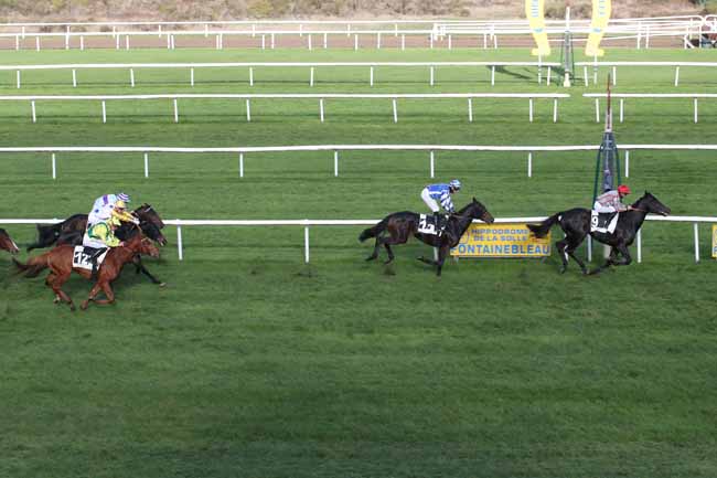 Photo d'arrivée de la course pmu PRIX DE LOUISE (PRIX DU MONT PIERREUX) à FONTAINEBLEAU le Vendredi 25 novembre 2022