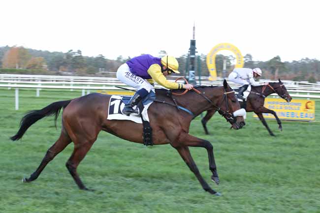Photo d'arrivée de la course pmu PRIX JACQUES DE VIENNE à FONTAINEBLEAU le Vendredi 25 novembre 2022