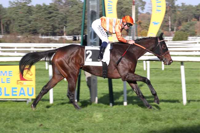 Photo d'arrivée de la course pmu PRIX CERES - FONDS EUROPEEN DE L'ELEVAGE à FONTAINEBLEAU le Vendredi 25 novembre 2022