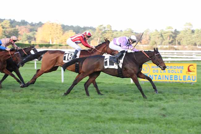 Photo d'arrivée de la course pmu GRAND PRIX DE FONTAINEBLEAU - FONDS EUROPEEN DE L'ELEVAGE à FONTAINEBLEAU le Vendredi 25 novembre 2022