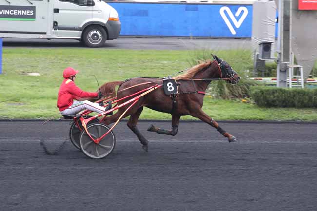 Photo d'arrivée de la course pmu PRIX TIMOKO à PARIS-VINCENNES le Samedi 26 novembre 2022