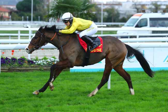 Photo d'arrivée de la course pmu PRIX DE ''LA DEPECHE DU MIDI'' (PRIX DE LA PLACE DU CAPITOLE) à TOULOUSE le Dimanche 27 novembre 2022